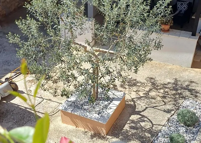 Casa Simeti Charming Mediterranean Near With Private Garden & Free Parking Appartement