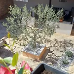Casa Simeti Charming Mediterranean Near With Private Garden & Free Parking Lejlighed