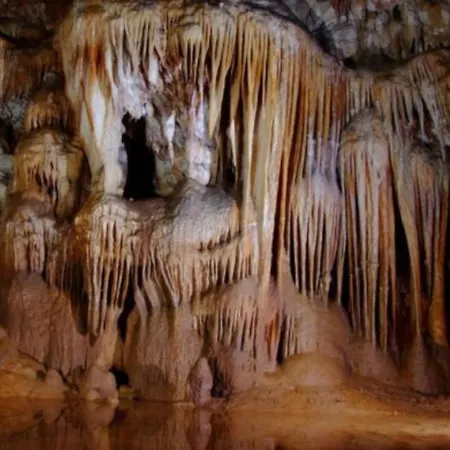 Apartment Casa Simeti