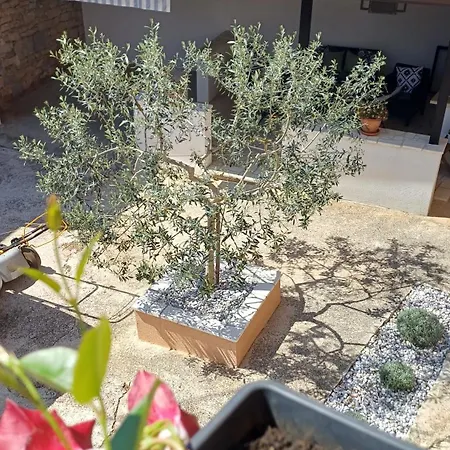 Casa Simeti Charming Mediterranean Near With Private Garden & Free Parking Апартаменты